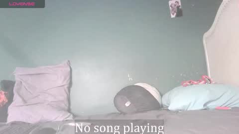 Stella Clitella online show from 24, 11, 2025