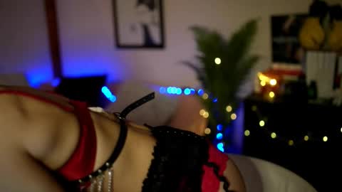 Stella online show from 2, 12, 2025