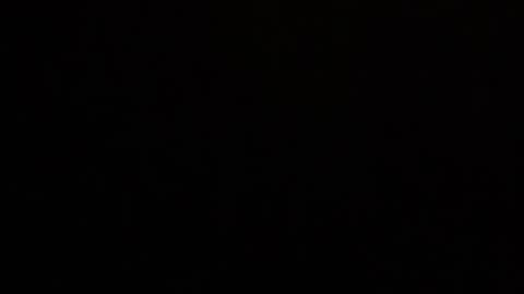 Stella Bella online show from 5, 4, 2026