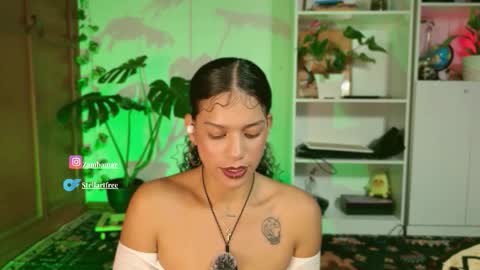 Snapshot of stellart_ chatting on 19, 11, 2025 stellart_ online show from 19, 11, 2025