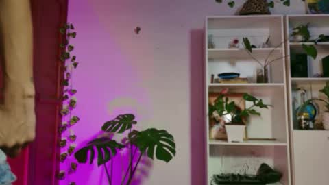 Snapshot of stellart_ chatting on 20, 11, 2025 stellart_ online show from 20, 11, 2025