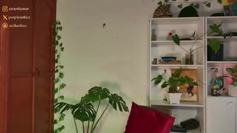 Snapshot of stellart_ chatting on 30, 11, 2025 stellart_ online show from 30, 11, 2025