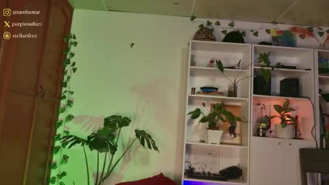 Snapshot of stellart_ chatting on 3, 12, 2025 stellart_ online show from 3, 12, 2025