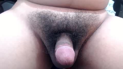 Stellaven online show from 24, 1, 2025