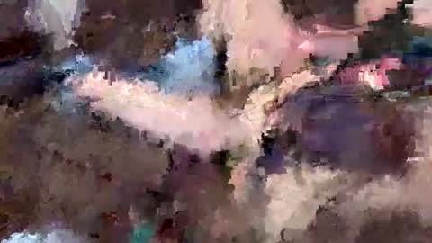 stephellex online show from 29, 11, 2025