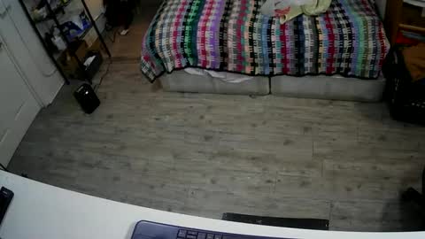 Snapshot of sterileball chatting on 7, 12, 2024 sterileball online show from 7, 12, 2024