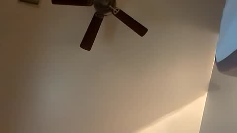 Snapshot of sterng123 chatting on 20, 10, 2025 sterng123 online show from 20, 10, 2025