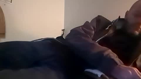 Snapshot of sterng123 chatting on 12, 11, 2025 sterng123 online show from 12, 11, 2025