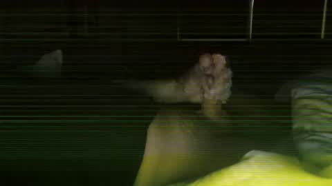 Snapshot of steve093066 chatting on 27, 2, 2026 Steve online show from 27, 2, 2026