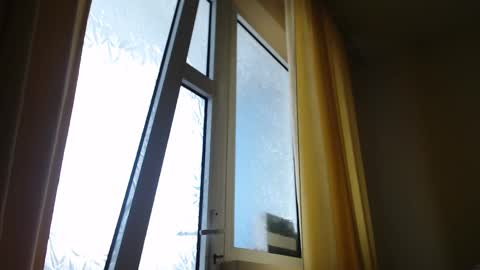 Steven online show from 19, 2, 2025