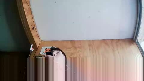 Steve online show from 4, 10, 2025