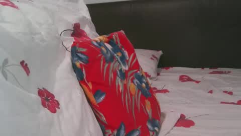 stevenpit online show from 6, 3, 2026