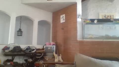 stevenson988 online show from 15, 2, 2025