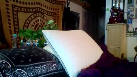 steviehard7 online show from 12, 2, 2025