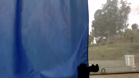 steviehard7 online show from 11, 3, 2025