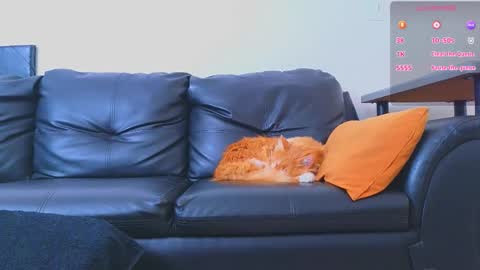 Snapshot of stiven_montiel chatting on 9, 1, 2026 Stiven Montiel online show from 9, 1, 2026