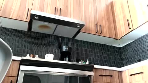 stlhotwifeguy online show from 14, 2, 2025