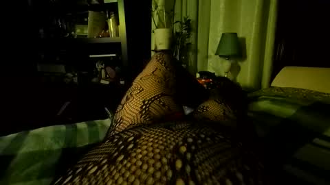 Snapshot of stockinggeek chatting on 5, 12, 2025 StockingGeek online show from 5, 12, 2025