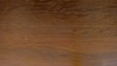 Snapshot of stone_lee_ chatting on 13, 2, 2025 Stone Lee online show from 13, 2, 2025