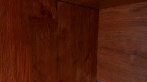 Snapshot of stone_lee_ chatting on 23, 2, 2025 Stone Lee online show from 23, 2, 2025