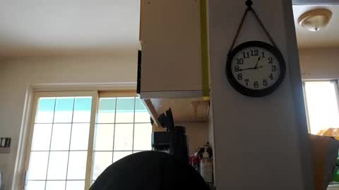 stormynorm14 online show from 21, 12, 2024