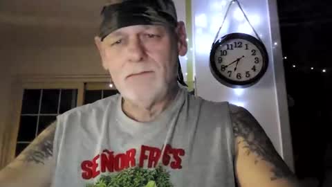 stormynorm14 online show from 2, 1, 2025