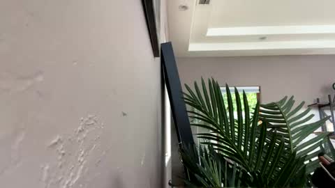 Snapshot of strawbrysugar chatting on 11, 12, 2024 Ruby Moon online show from 11, 12, 2024