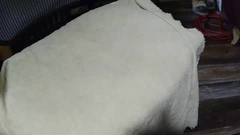 strokingmymeat336 online show from 11, 11, 2025