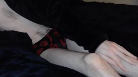 Snapshot of stroknmydong chatting on 4, 3, 2025 Dong Stroker online show from 4, 3, 2025