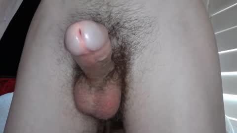 Snapshot of stroknmydong chatting on 11, 3, 2025 Dong Stroker online show from 11, 3, 2025