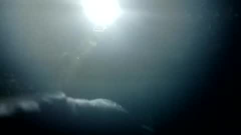 Snapshot of stroll0695 chatting on 26, 1, 2025 Bigdickdugan online show from 26, 1, 2025