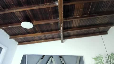 Alexa   online show from 7, 4, 2026