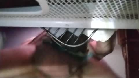 Snapshot of stuffamuffagus69 chatting on 18, 11, 2025 stuffamuffagus69 online show from 18, 11, 2025