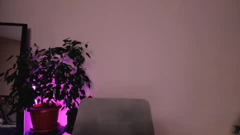 Snapshot of stuffed_cookie chatting on 18, 12, 2024 Mary online show from 18, 12, 2024