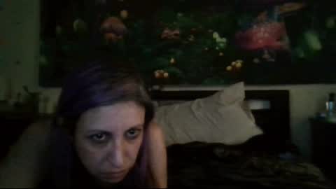 Stycock88 online show from 24, 2, 2025