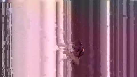 Snapshot of submissive_kory chatting on 3, 12, 2024 ControlMeViaTeamviewer online show from 3, 12, 2024