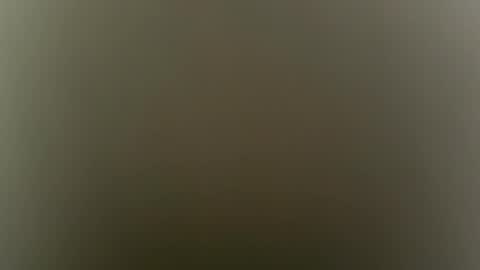 suly online show from 4, 2, 2026