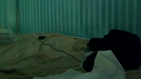 sum4u2see43 online show from 8, 3, 2026