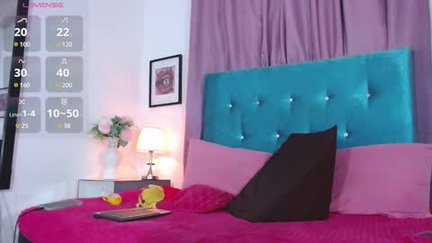 Snapshot of summer_elletra chatting on 2, 3, 2025 shannon online show from 2, 3, 2025