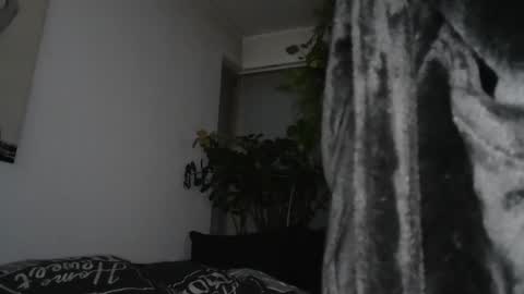 s online show from 17, 12, 2024