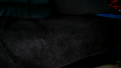 Snapshot of sundicksun chatting on 30, 6, 2026 s online show from 30, 6, 2026
