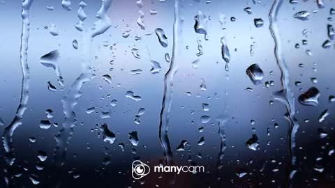 sven online show from 10, 2, 2026