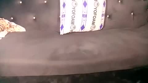 Snapshot of sunnyjohn447 chatting on 27, 1, 2025 Sunnyblack2 online show from 27, 1, 2025