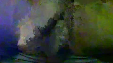 Snapshot of sunnyjohn447 chatting on 25, 9, 2025 Sunnyblack2 online show from 25, 9, 2025