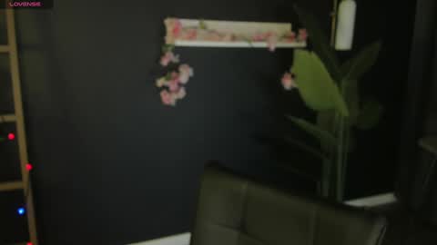 Snapshot of sunnyrisha chatting on 14, 1, 2025 Risha online show from 14, 1, 2025