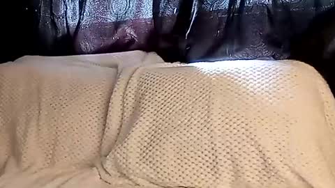 Annie online show from 8, 3, 2025