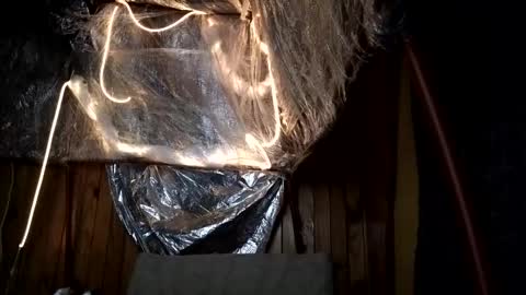 Snapshot of super_jony chatting on 1, 10, 2025 super jony and Marta GMT 1300-1800 every day online show from 1, 10, 2025