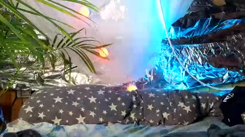 Snapshot of super_jony chatting on 9, 10, 2025 super jony and Marta GMT 1300-1800 every day online show from 9, 10, 2025