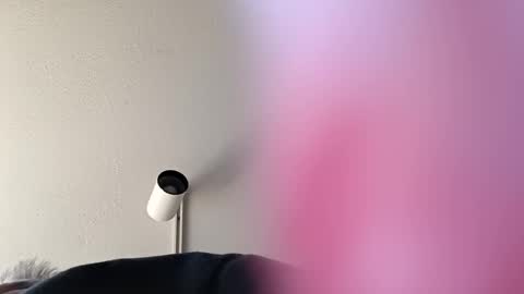 Snapshot of superhornedupgangsta831 chatting on 27, 1, 2025 SuperhorndupGangsta online show from 27, 1, 2025