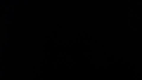 susana lopez online show from 28, 2, 2025